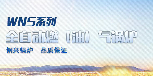 專業生產燃氣鍋爐設備